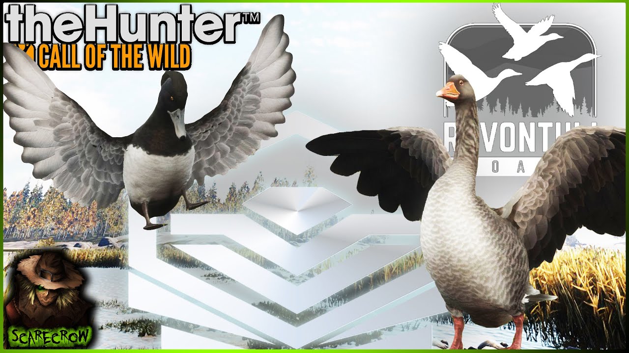 A MAJOR Case Of Deja Vu! Diamond Tufted Duck & Greylag Goose AGAIN! Call of the wild YouTube
