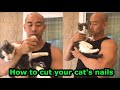 How to cut your cat&#39;s nails