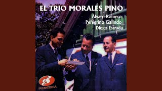 Video thumbnail of "El Trío Morales Pino - Humorismo"