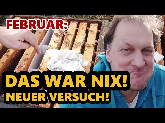 Futterteigrezept 2.0 - Verbesserung nötig! | Teil 2 Bienen füttern im Winter | Zwischenergebnis