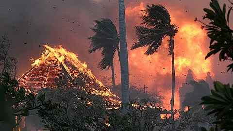 How to avoid donation scams in the wake of Hawaii fires | Verify