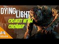 Dying Light Сюжет игры для ознакомления