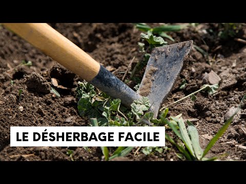 Vidéo: Désherbage du potager : comment désherber le jardin