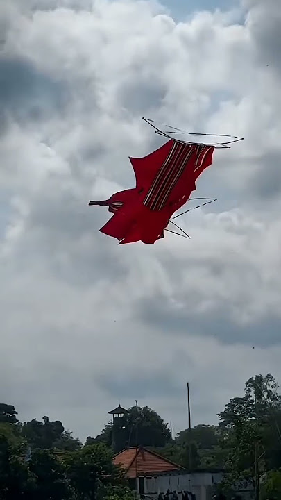 layangan bban bali, layangan naga raja. layangan cotek lawas😎😎🤑