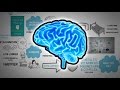 Staying Sharp: Keys for a Youthful Brain