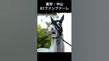 競馬 東京 中山GIファンファーレ 高音質 JRA 
