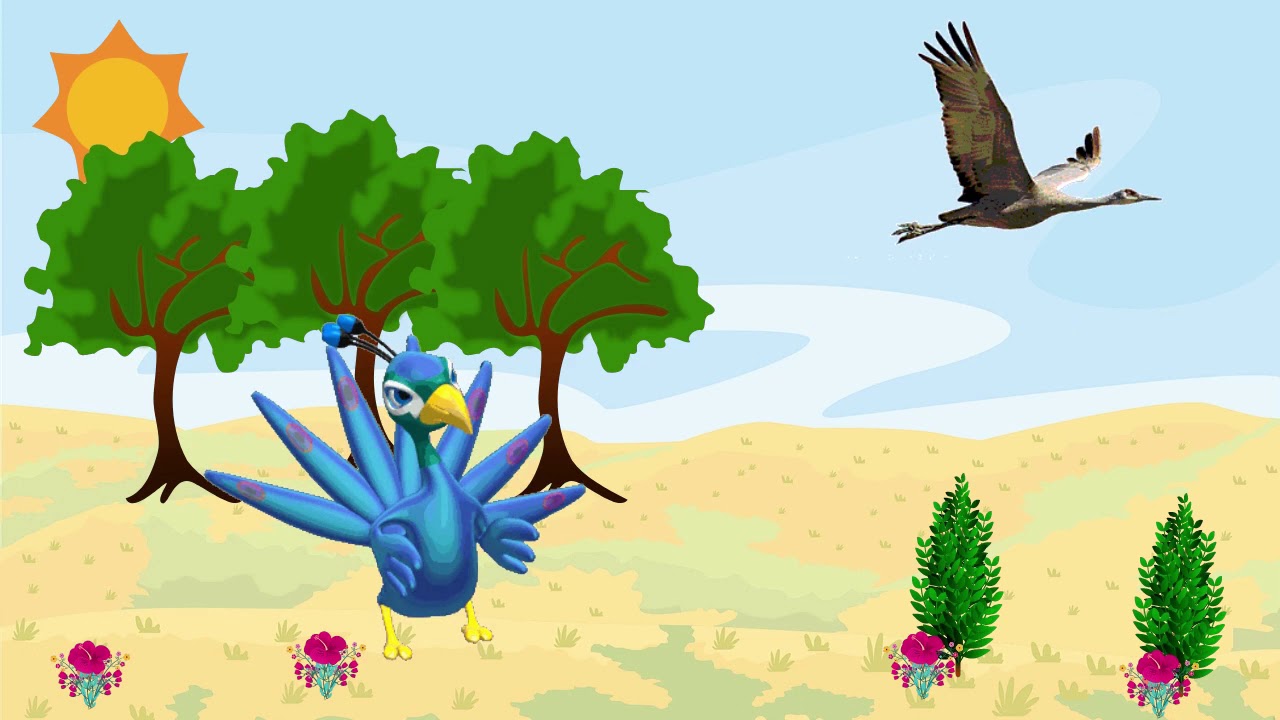 El pavo real y la grulla cuentos y fabulas para niños. YouTube