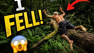 I fell in the jungle…