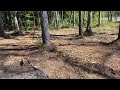 Forestry mulching around the farm