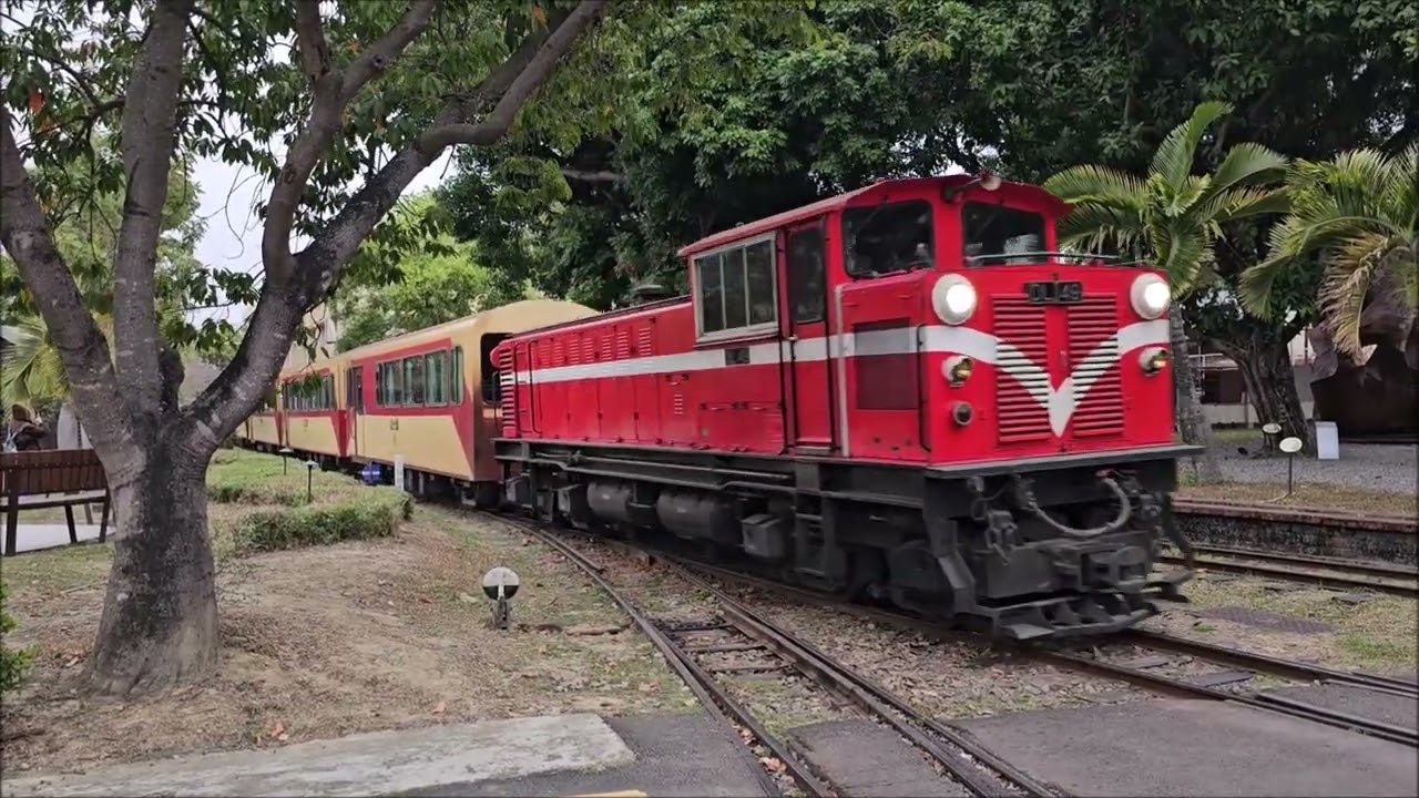 🚂 台湾鉄道満喫の旅 🌸 楽しくめぐる歴史探訪 🚃 | BOSS-Fukuhara