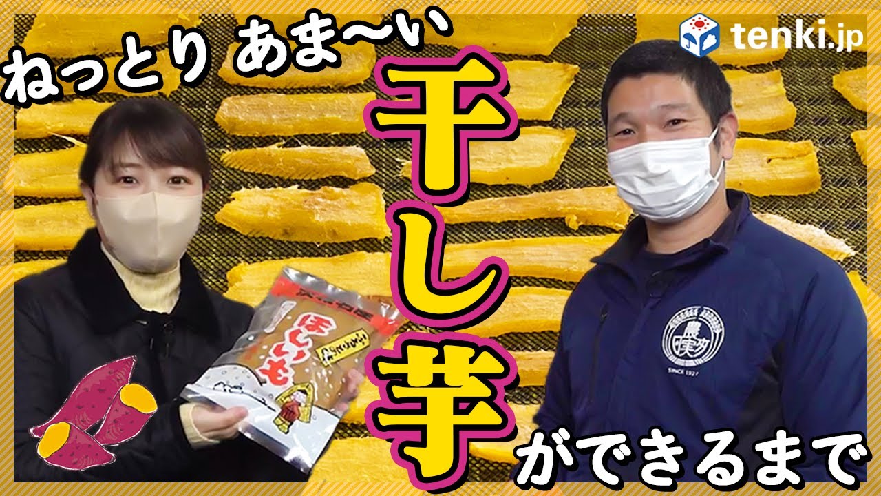 【徹底調査】美味しい干し芋ができるには天気と気温が大事？茨城県の干し芋作りに密着してみた！