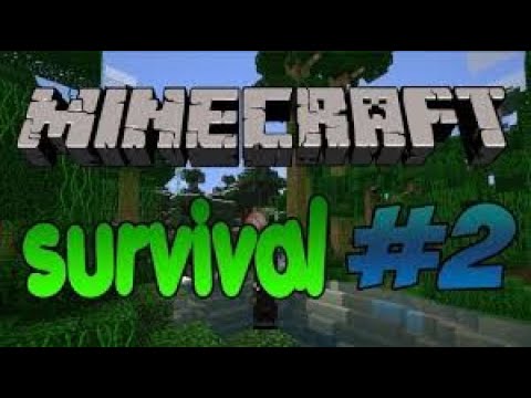 minecraft survival #2