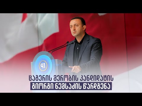 ცაგერის მერობის კანდიდატის გიორგი ნემსაძის წარდგენა