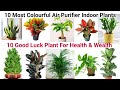 10 Air Purifying Indoor Plants for Styling Your Home |शुभ फल और दौलत देने वाले 10 इंडोर पौधे