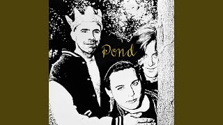 Pond - Cinders