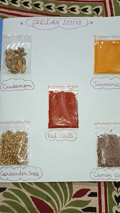 Spices Name In English #shorts #shortsfeed #art #diy #craft #ytshorts #drawing #spices