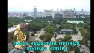 大阪しぐれ　都はるみ　Cover　Osaka Shigure　Miyako Harumi