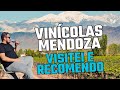 Vinícolas em Mendoza! Quais são as imperdíveis? Conheça as que visitei em minha viagem!