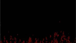 X86 Mode 13 - Old School Fire Effect