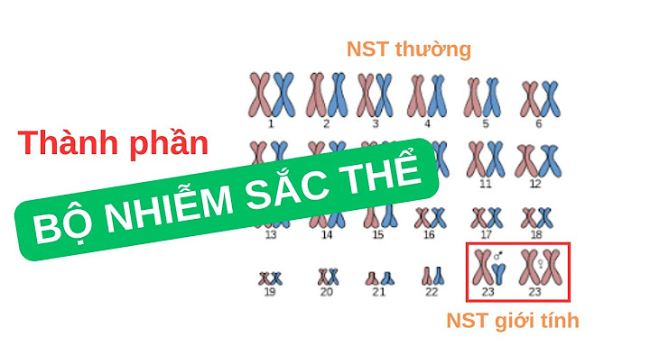 Cặp nst giới tính được kí hiệu như thế nào năm 2024