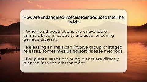 How Are Endangered Species Reintroduced Into The Wild? - Ecosystem Essentials