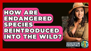 How Are Endangered Species Reintroduced Into The Wild? - Ecosystem Essentials