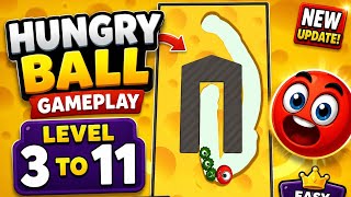 Hungry Ball Level 3-13 Complete Walkthrough | All Solutions | No Commentary Gameplay | Win Game Play