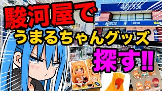 【Finding Umaru-chan!!】Can you find Umaru-chan merch at Surugaya Kofu store? The author investigat...