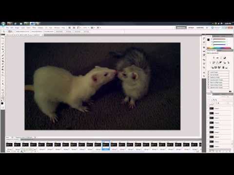 Animated GIF from video using Photoshop CS5