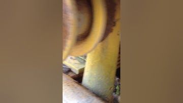 Uncle Pete D7 IMG 1470