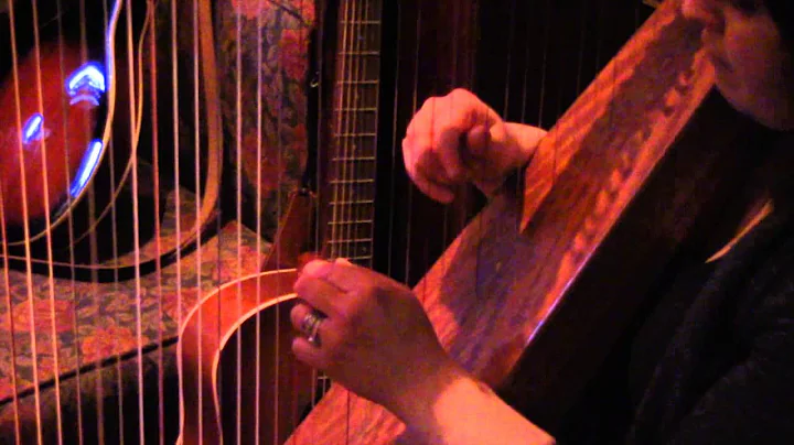 Ann Dillon - Irish Music Session Leader