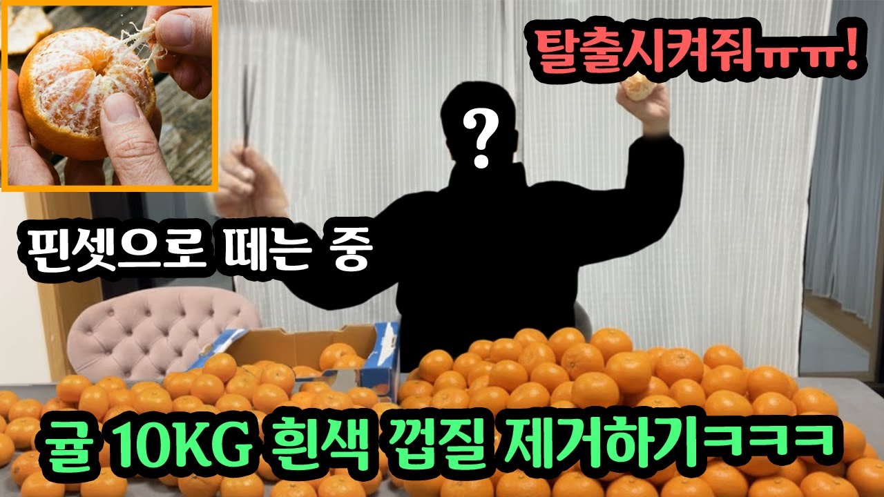 집주인 몰래 크리스마티 파티한 친구들 입에서 샤갈 나오는 미션들로 집에 가두기 ㅋㅋㅋ