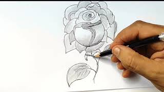 كيف ترسم وردة جميلة وسهلة خطوة بخطوة/تعلم رسم وردة للمبتدئين/رسم وردة بطريقة جميلة #drawing_flowar