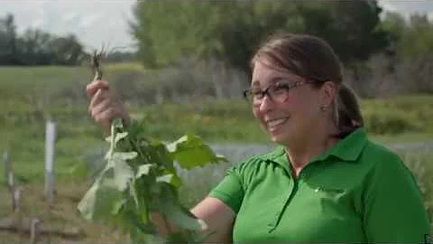 4R Nutrient Stewardship in Saskatchewan
