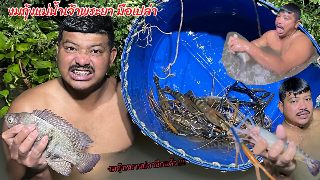 งมกุ้งแม่น้ำเจ้าพระยา แต่หมานปลา !!! #มิสเตอร์สันฟิชชิ่ง  #งมกุ้งแม่น้ำเจ้าพระยา 