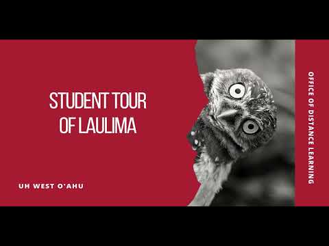 Student Tour of Laulima