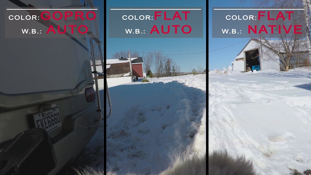 Gopro 5 Color Vs Flat W B Auto Vs Native Avec With Premiere Pro Youtube