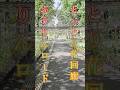 とっとり花回廊 ふうりんロード