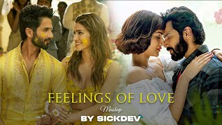 Feelings Of Love Mashup Sickdev Apna Bana Le Sajni Re Satranga Arijit Singh Mashup