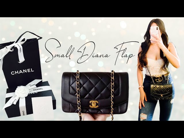 DESIGNER HANDBAG REVIEW - Chanel Small Lambskin Diana (Vlogmas 6)