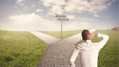 Data Mesh vs Data Fabric