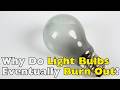 Why Do Light Bulbs Eventually Burn Out? | The Science Behind Incandescent Bulbs
