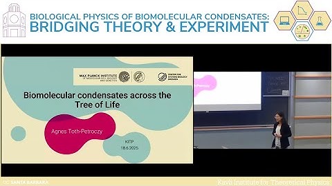 Biomolecular condensates across the Tree of life | Agnes Toth Petroczy (MPI-CBG)