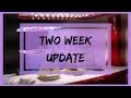 Aerogardens: 2 week update (February 4, 2019)