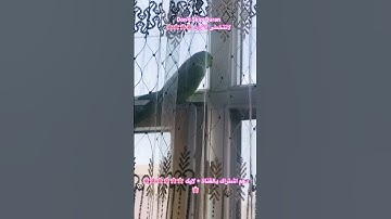 تلاوه عطره من الذكر الحكيم #birds #cutebird #foryou #اكسبلور