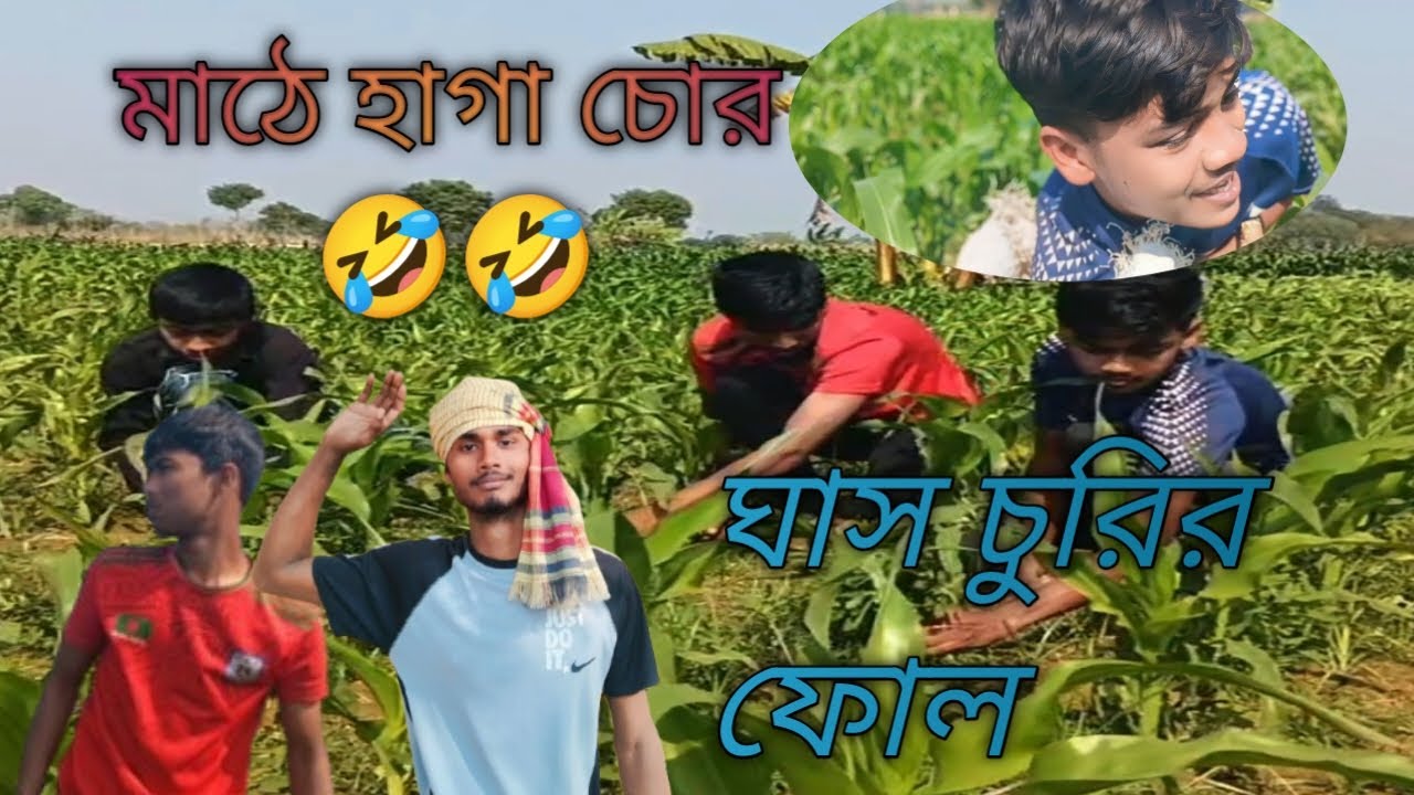 ঘাস চোর😂😂😂😂