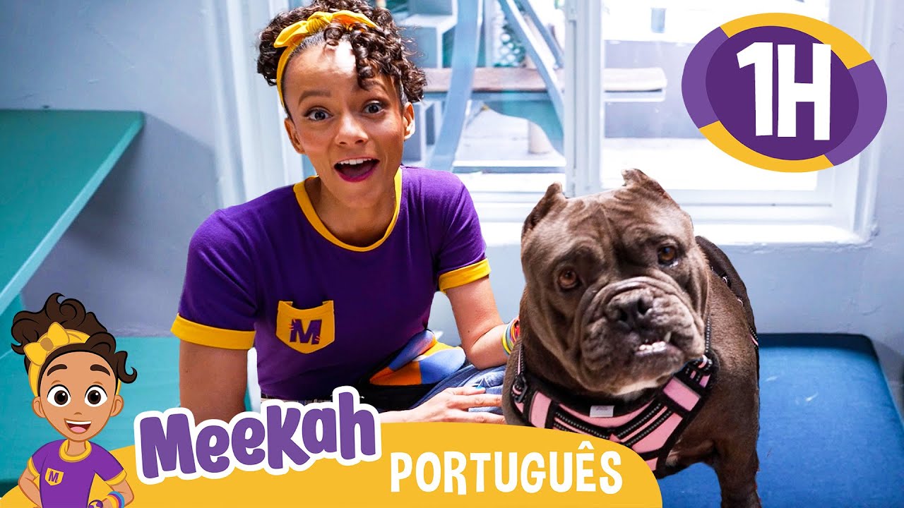 🐶 Meekah Visita um Abrigo de Animais! 🐱 | 1 HORA DA MEEKAH BRASIL! | Moonbug Kids em Português