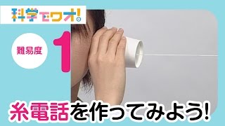 自由研究 糸電話を作ってみよう Youtube 自由研究 糸電話を作ってみよう Youtube