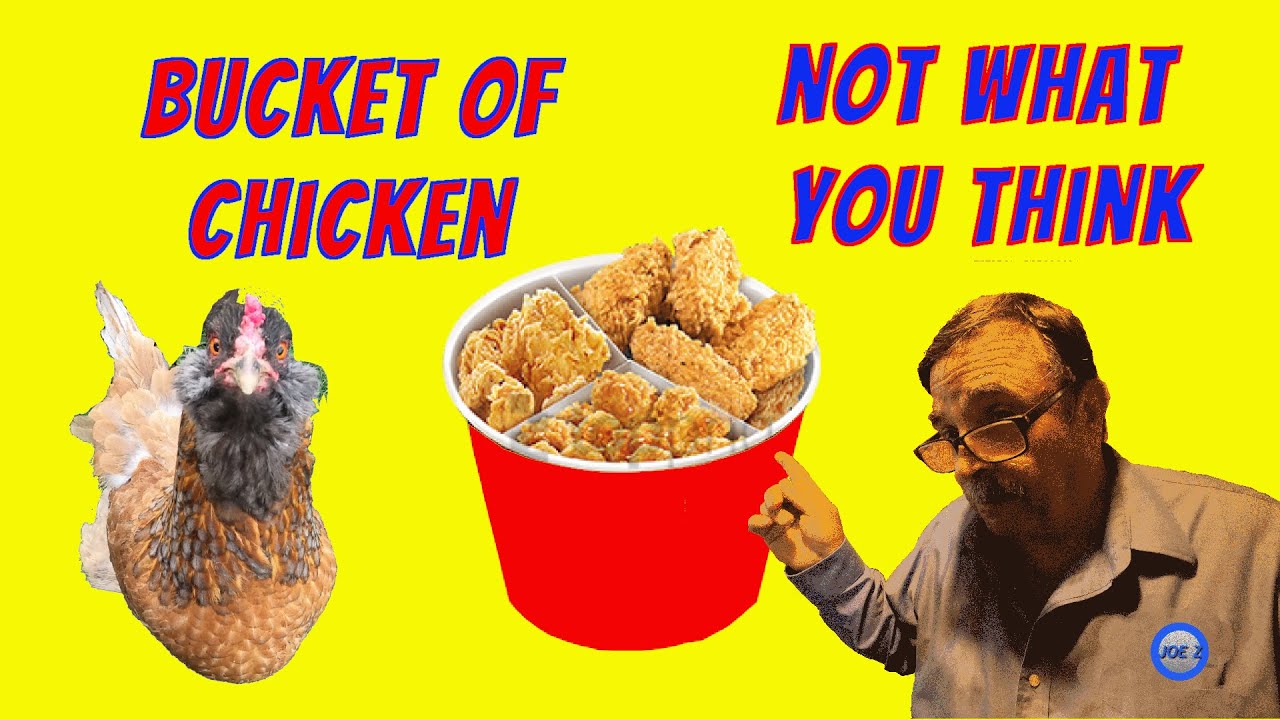 Bucket of chicken Not what you think YouTube
