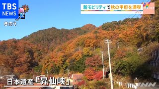 都心も紅葉見頃に【ＳＵＮトピ】